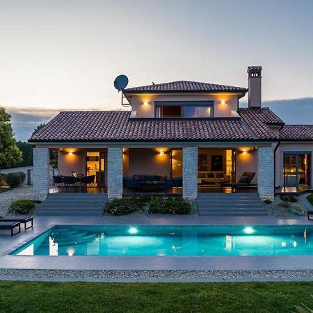 Villa Labin In Zartinj - Luxury Privacy Heated Pool With Auto Cover Exterior foto